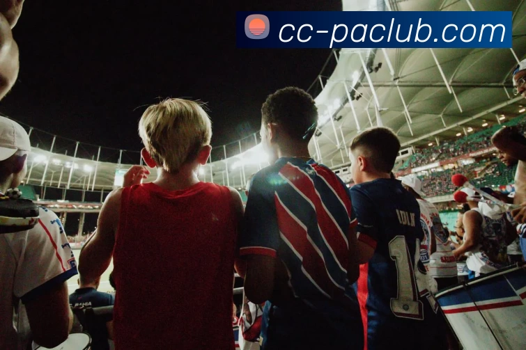 App Interface Preview